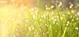 Καλοκαίρι και αλλεργίες